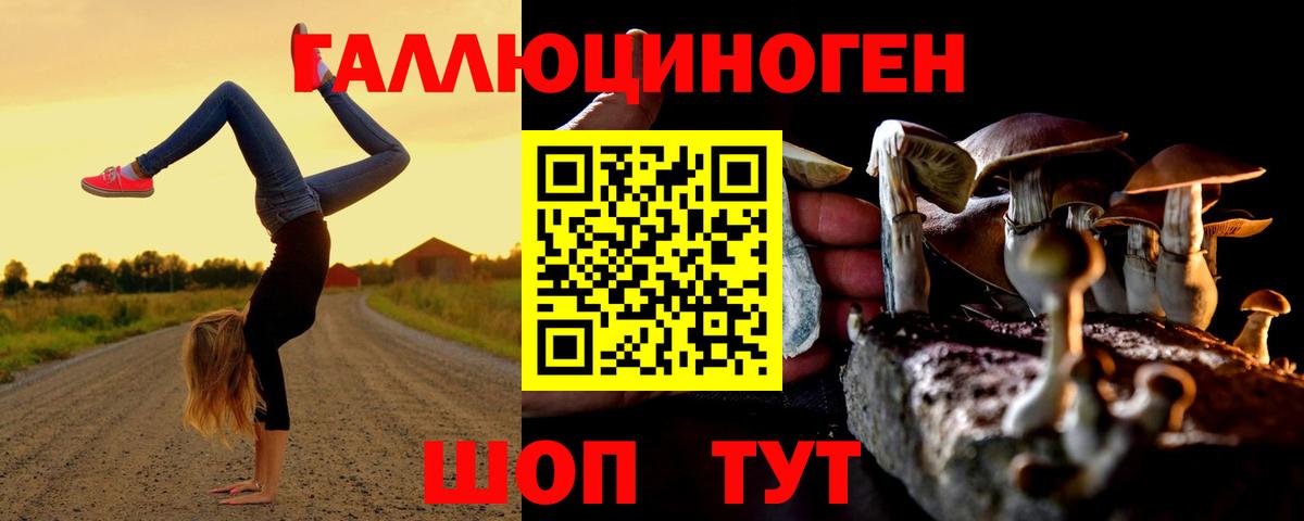где найти   Галлюциногенные грибы MAGIC MUSHROOMS  Вход с VPN  Выкса 